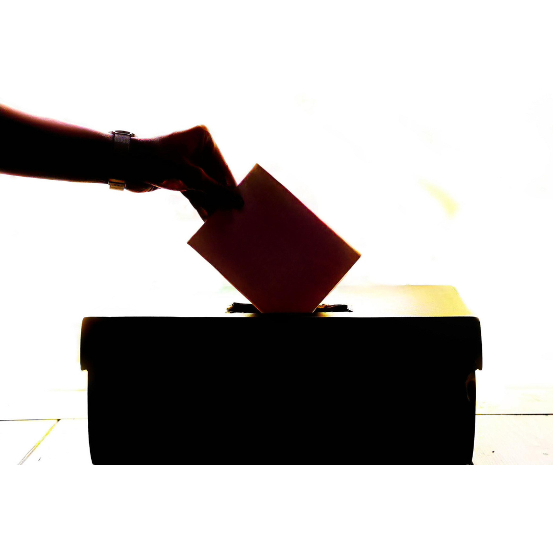 Elezioni 17 e 18 novembre 2024 Elezioni 17 e 18 novembre 2024