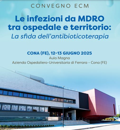 Le infezioni da germi multiresistenti tra ospedale e territorio. La sfida dell’antibioticoterapia Le infezioni da germi multiresistenti tra ospedale e territorio. La sfida dell’antibioticoterapia